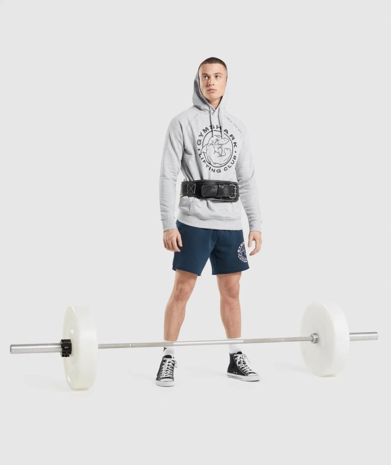 Men's Gymshark Legacy Hoodie Light Grey | CA 86A531